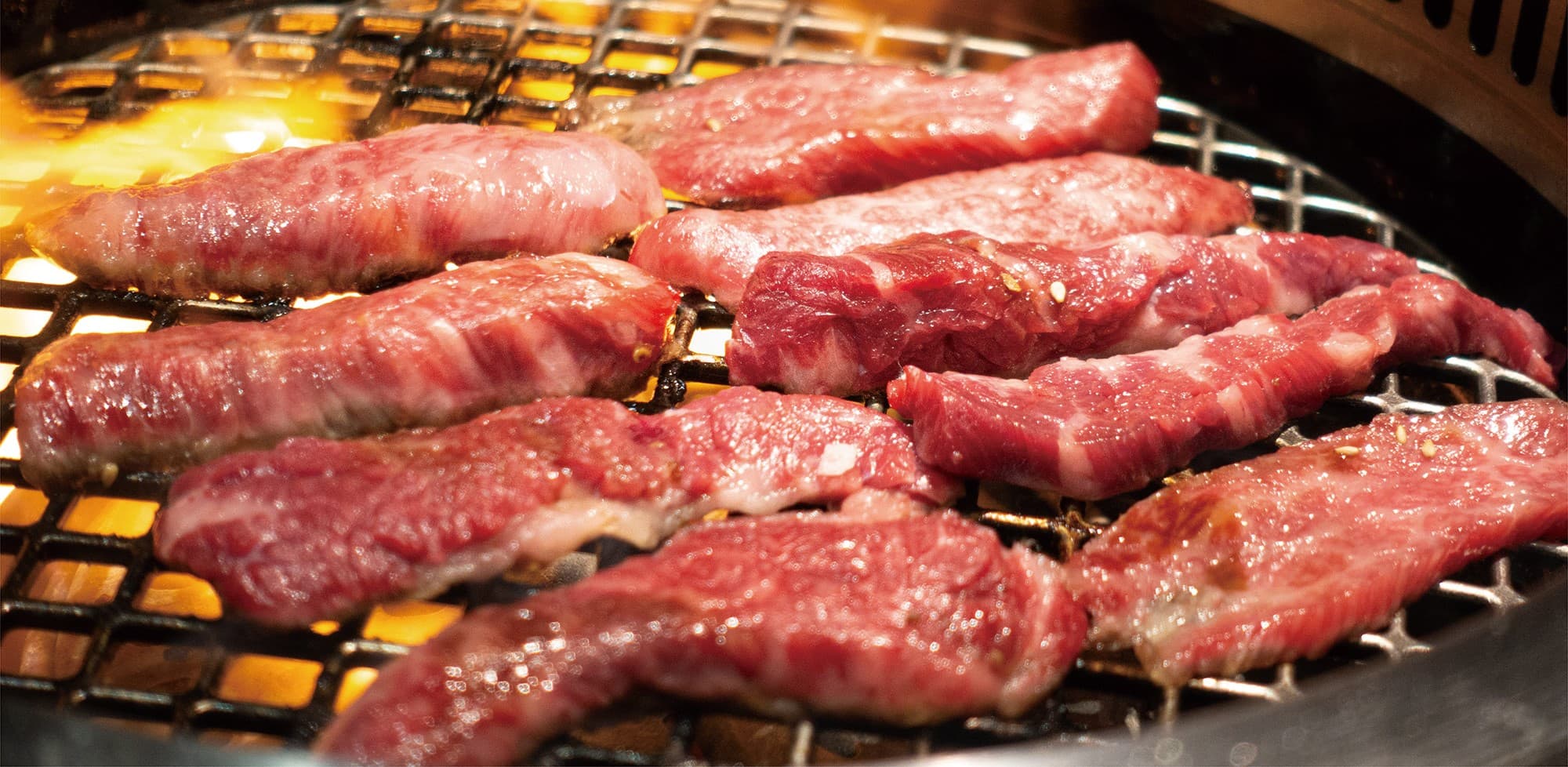 みーたん メインビジュアル